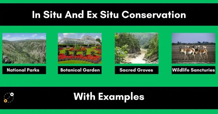 Conservation biodiversity situ ex benefits need areas