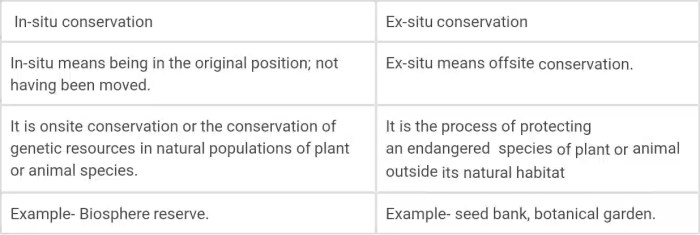 Konservasi Ex-Situ Dan In-Situ Ayam Hutan Di Indonesia