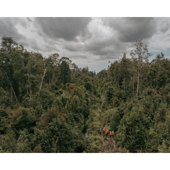 Konservasi Ex-Situ Dan In-Situ Ayam Hutan Di Indonesia